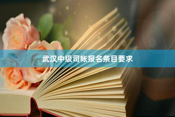 武汉中级司帐报名条目要求