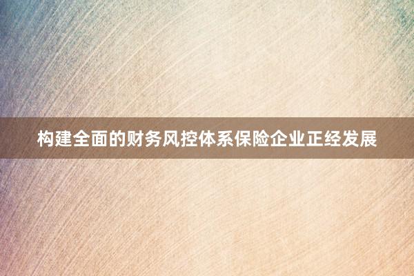 构建全面的财务风控体系保险企业正经发展
