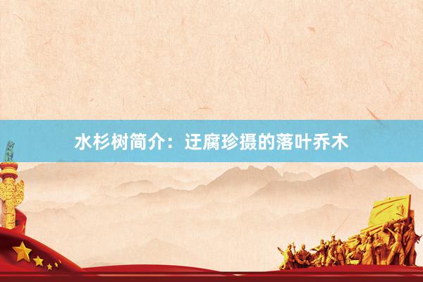 水杉树简介：迂腐珍摄的落叶乔木