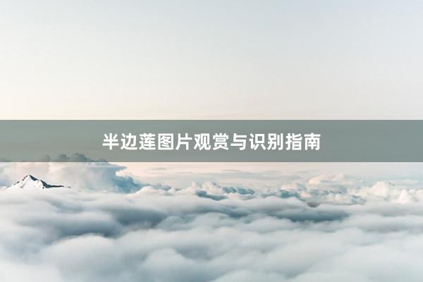 半边莲图片观赏与识别指南